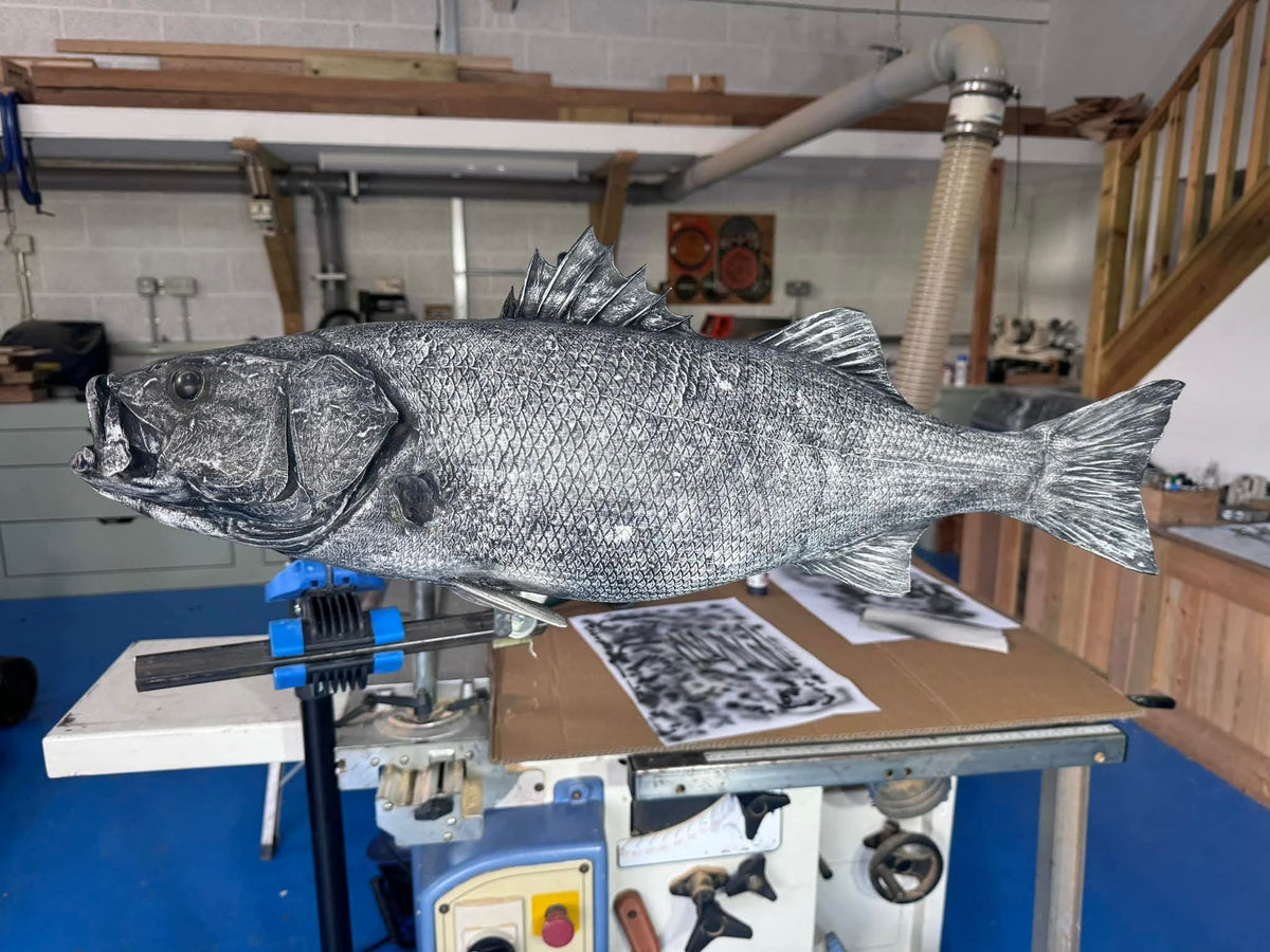 BassRecreations fibre glass Bass